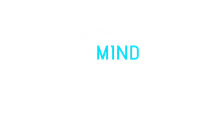 TechMind Solutions